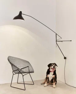 Applique MANTIS BS2 -Flos Shop applique mantis bs2 5