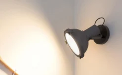 Applique Projecteur 165