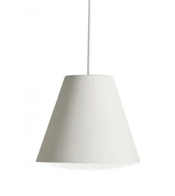 Hay SUSPENSION SINKER